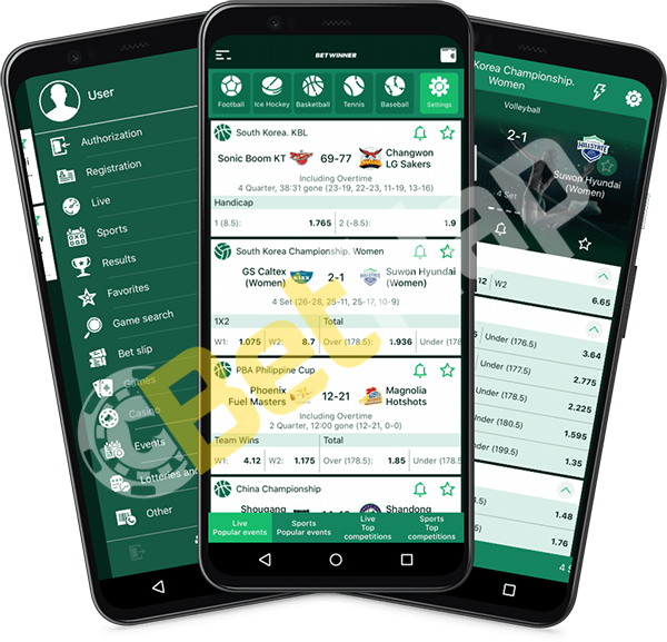 Betwinner Mobile Your Gateway to Gaming on the Go