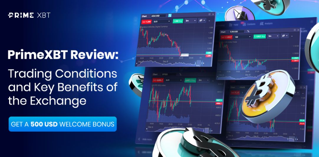 Bonus PrimeXBT Kripto Para Dünyasında Kazanç Sağlayın
